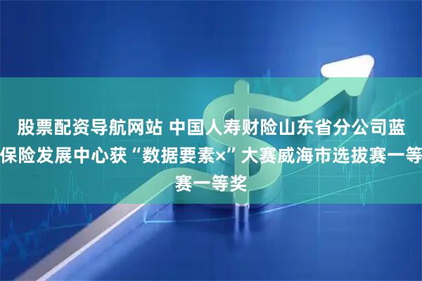 股票配资导航网站 中国人寿财险山东省分公司蓝色保险发展中心获“数据要素×”大赛威海市选拔赛一等奖